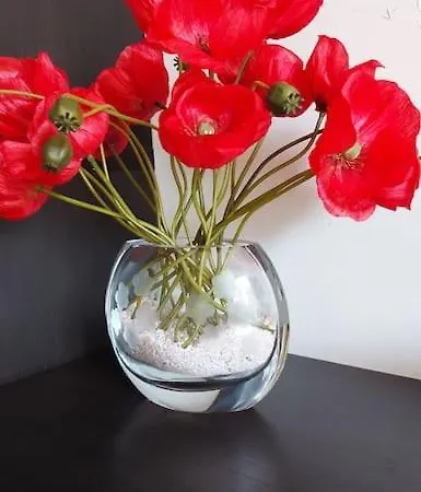 Magnifico Centro - Rusconi 33 Apartamento